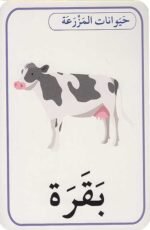 ⁦بطاقات الحيوانات: الفاكهة و الخضار | مجموعة من 28 بطاقة | دار أصالة للنشر⁩ - الصورة ⁦2⁩