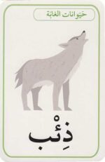⁦بطاقات الحيوانات: الفاكهة و الخضار | مجموعة من 28 بطاقة | دار أصالة للنشر⁩ - الصورة ⁦3⁩