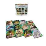 سلسلة كتابي الصغير (1-12) | دار رؤية