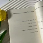 ⁦كتاب الحياة ليست رجلاً | تأليف ساره على⁩ - الصورة ⁦4⁩